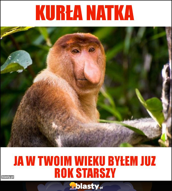 KURŁA NATKA