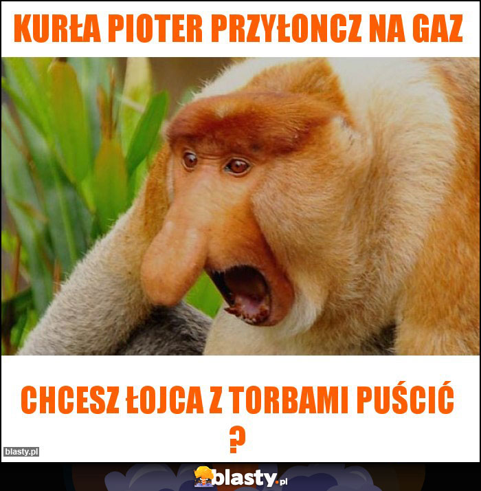 kurła pioter przyłoncz na gaz