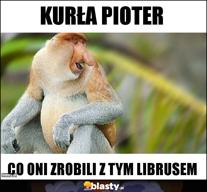 KURŁA PIOTER