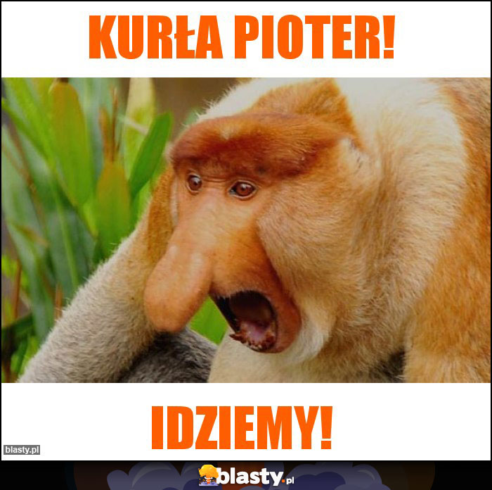 KURŁA PIOTER!