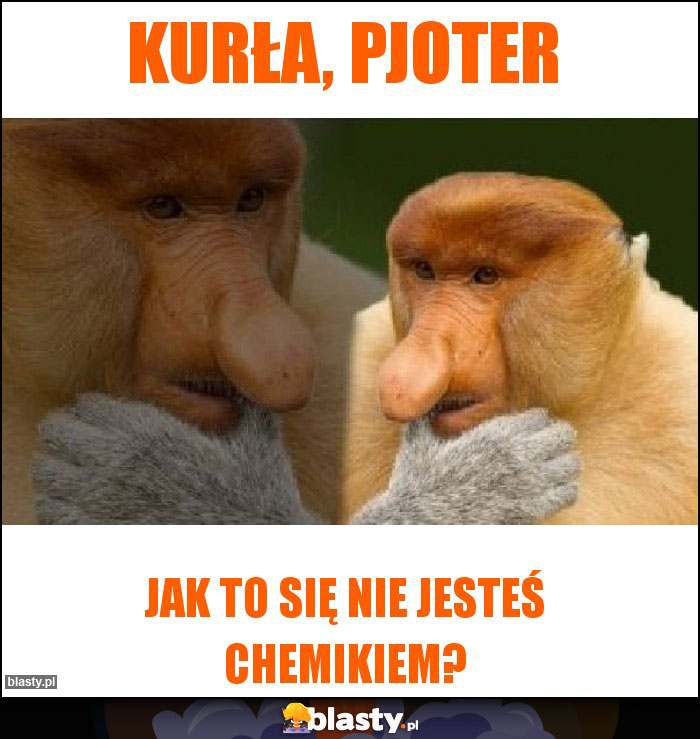 Kurła, Pjoter