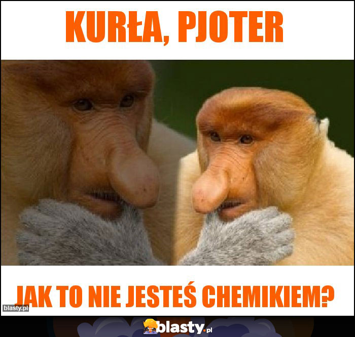 Kurła, Pjoter