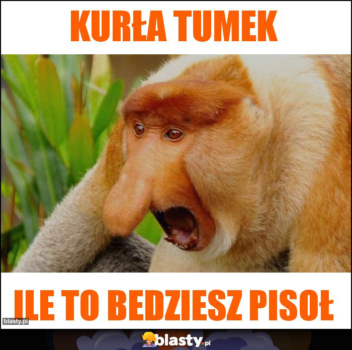 KURŁA TUMEK