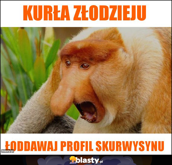 Kurła złodzieju