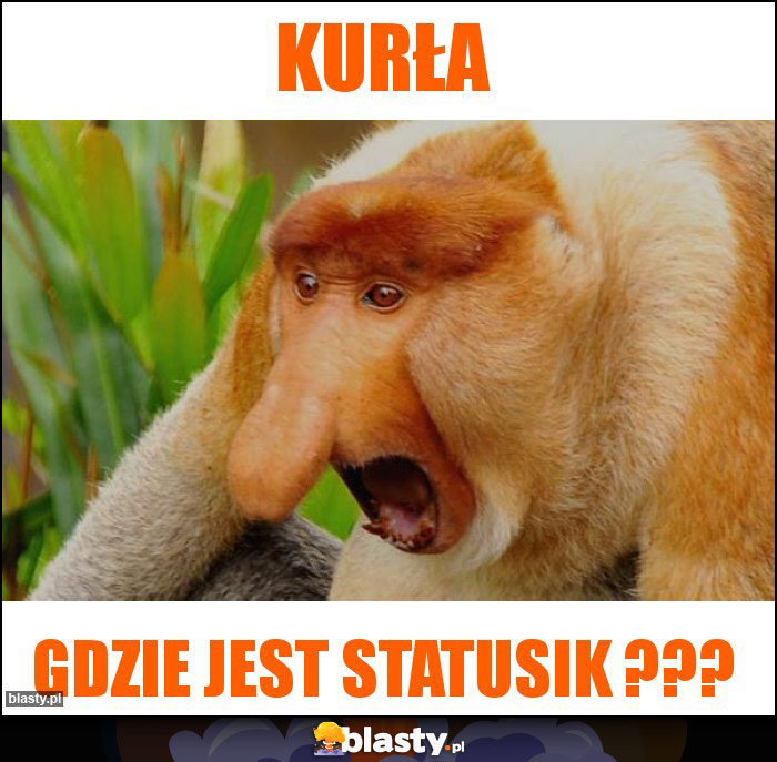 Kurła