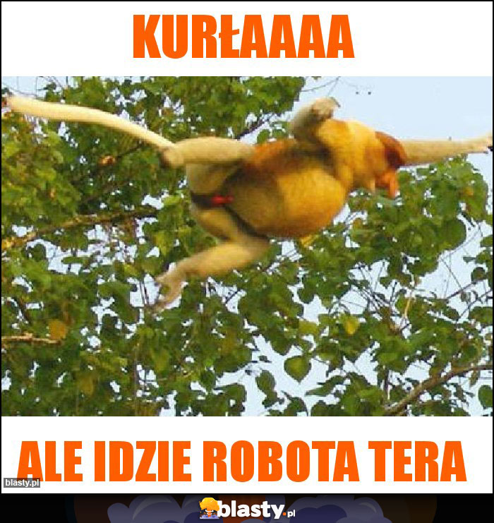 KURŁAAAA