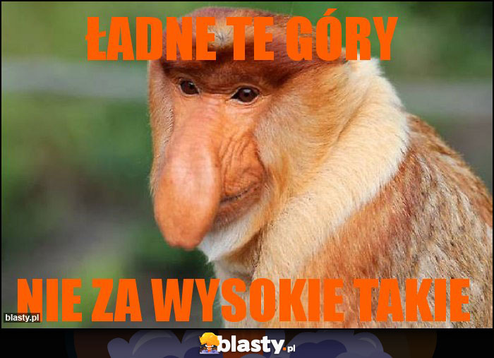 ładne te góry