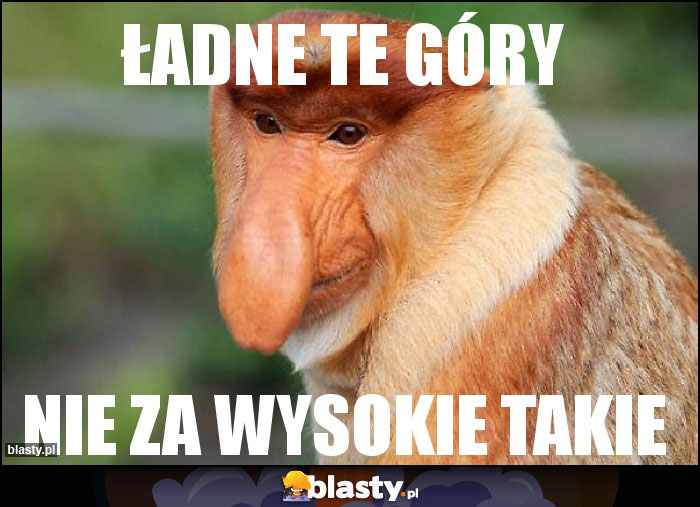 Ładne te góry