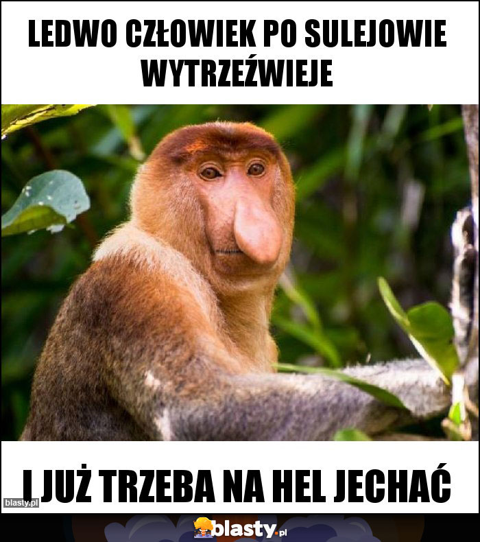 Ledwo człowiek po Sulejowie wytrzeźwieje