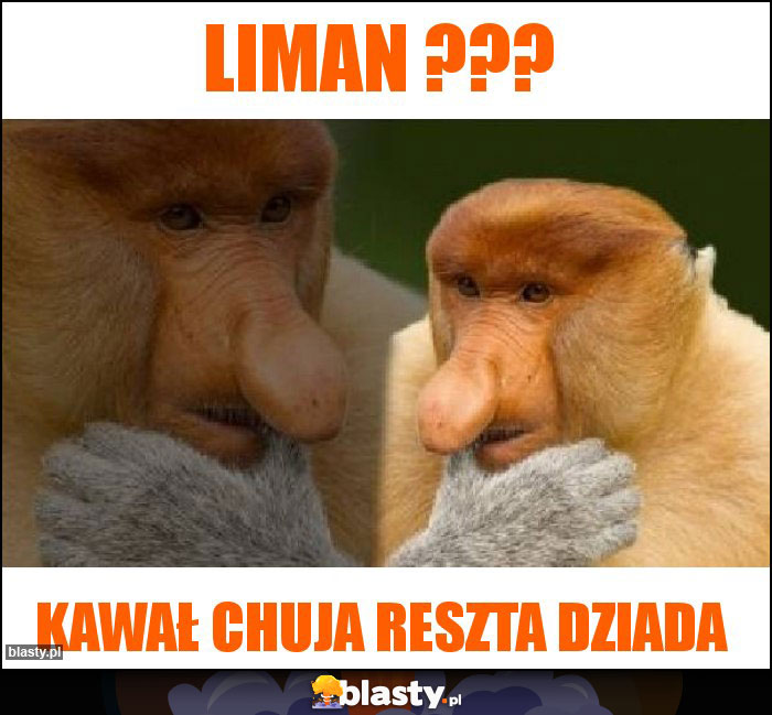 Liman ???