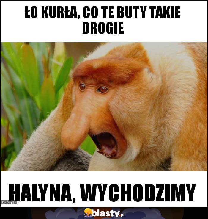 Ło kurła, co te buty takie drogie