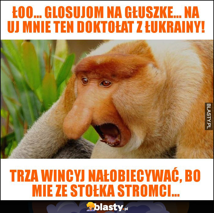 Łoo... Glosujom na Głuszke... Na uj mnie ten doktołat z Łukrainy!