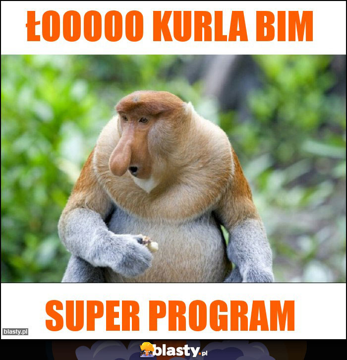 Łooooo kurla BIM