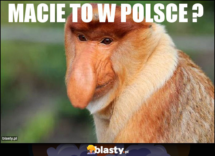 Macie to w Polsce ?