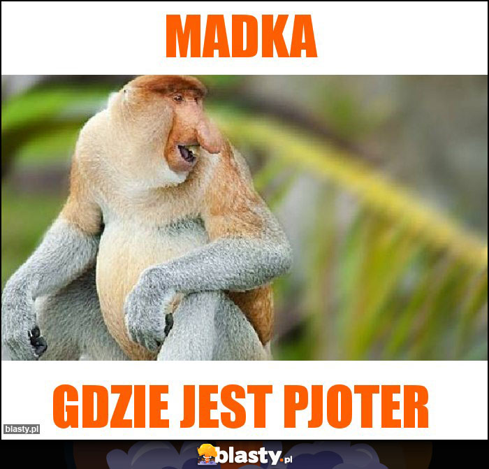 Madka