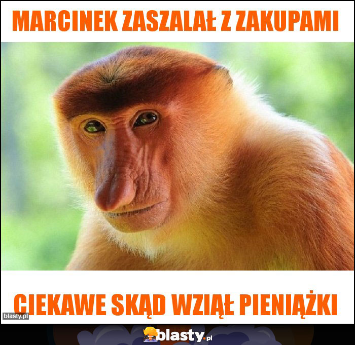 Marcinek zaszalał z zakupami