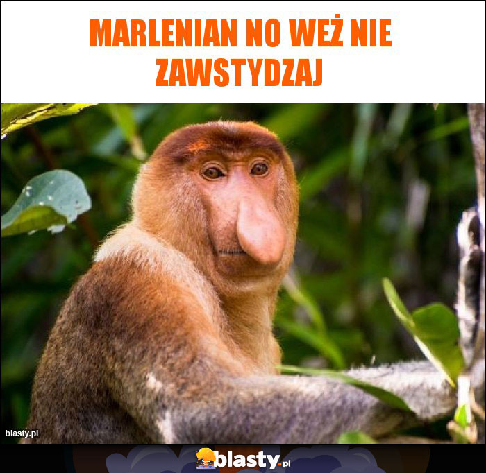 Marlenian no weż nie zawstydzaj