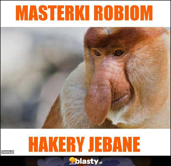 masterki robiom