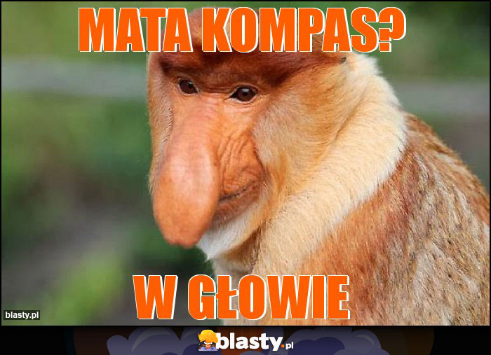 Mata kompas?