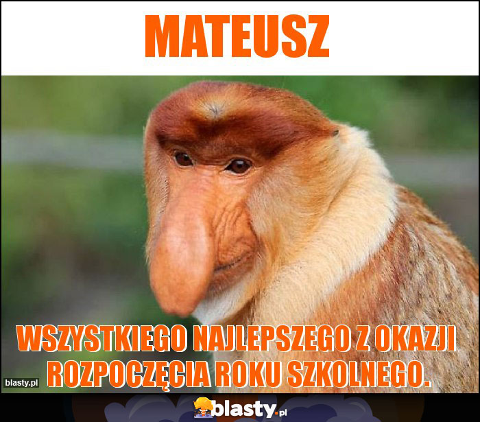 Mateusz