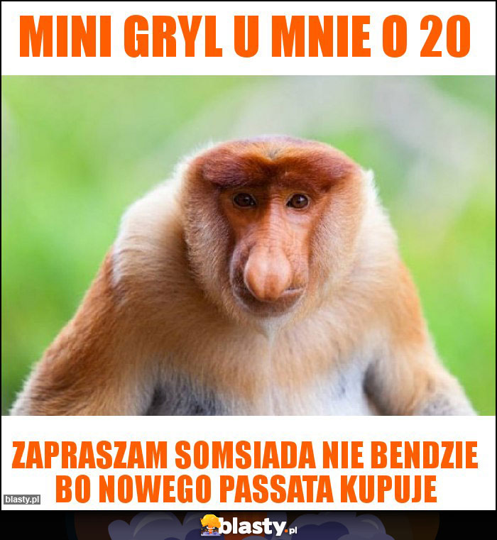 Mini gryl u mnie o 20