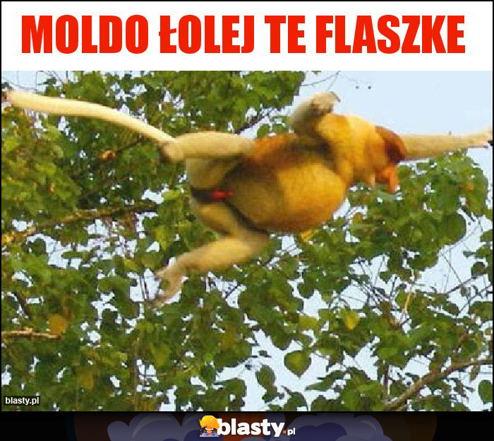 Moldo łolej te flaszke