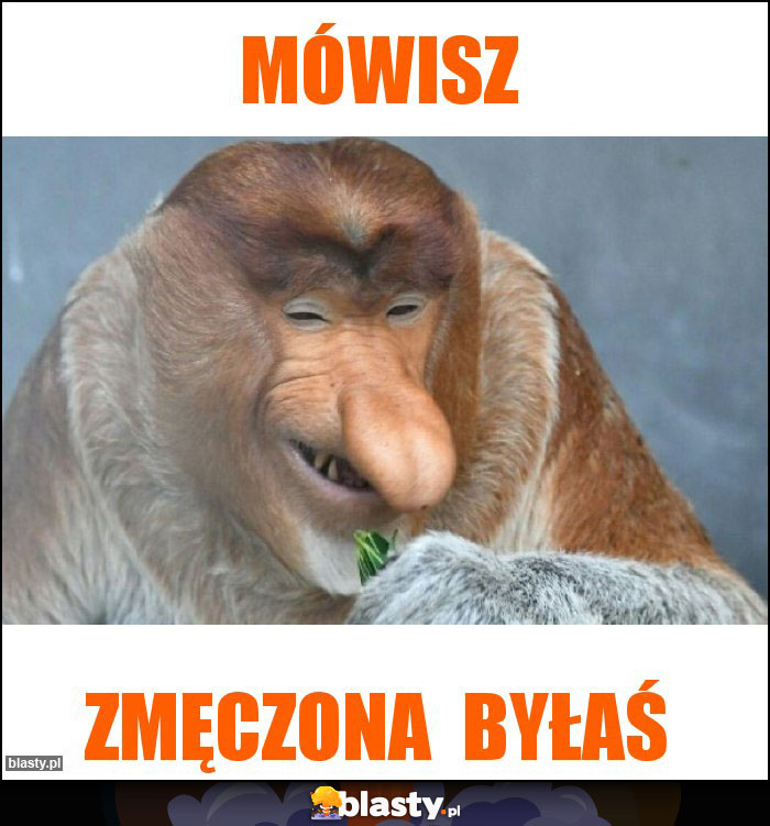 mówisz