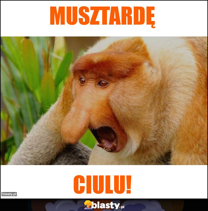 Musztardę