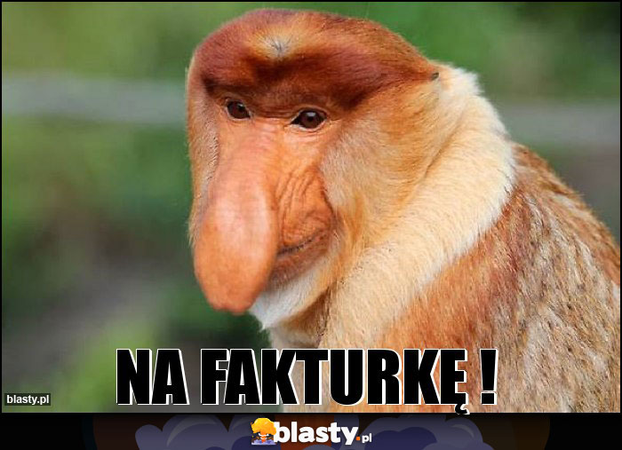 Na fakturkę !