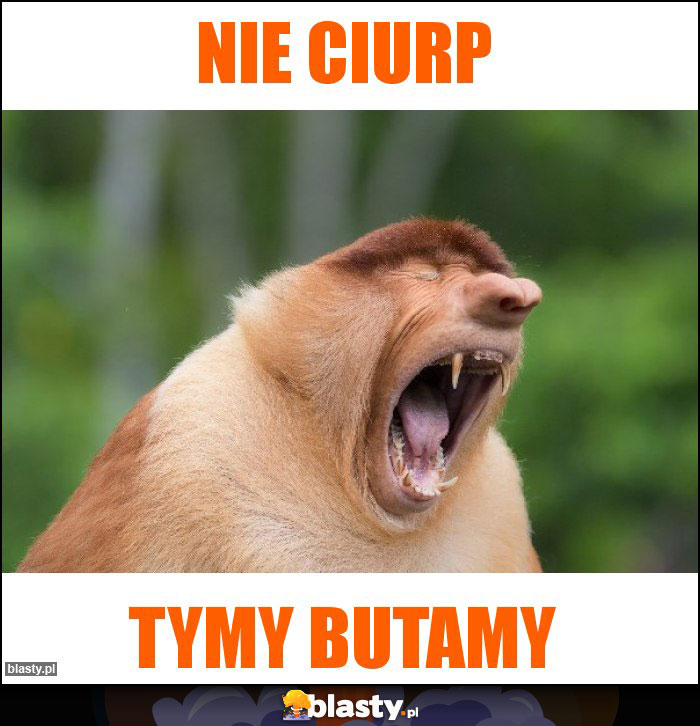 Nie ciurp