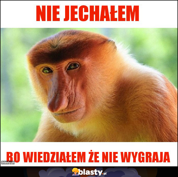 Nie jechałem