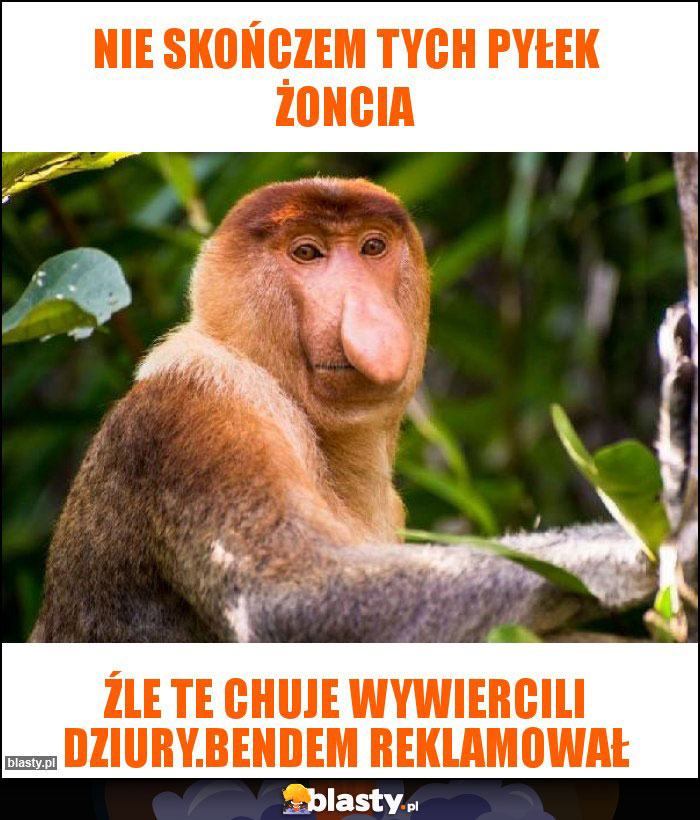 Nie skończem tych pyłek Żoncia