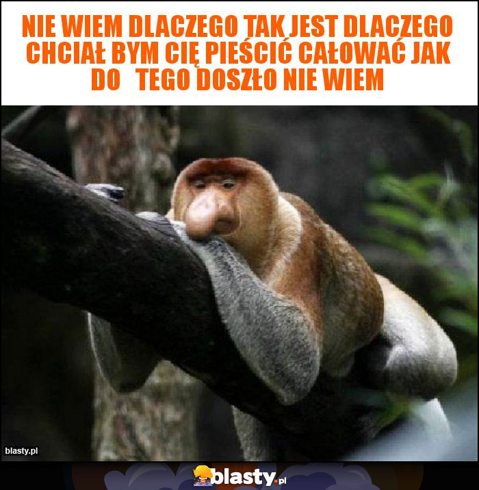 Nie wiem dlaczego tak jest dlaczego chciał bym Cię pieścić całować jak do   tego doszło nie wiem