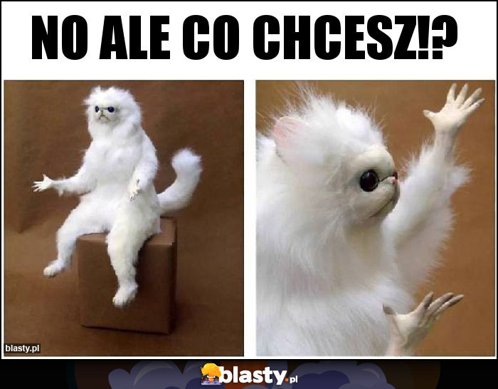 No ale co chcesz!?