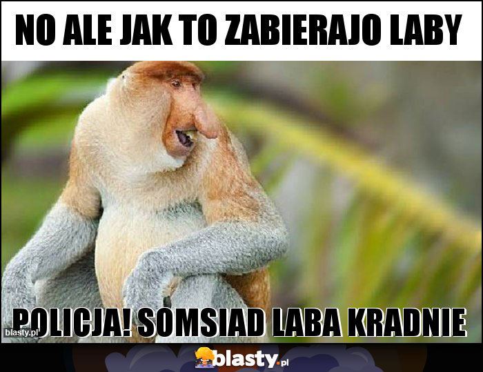 NO ALE JAK TO ZABIERAJO LABY