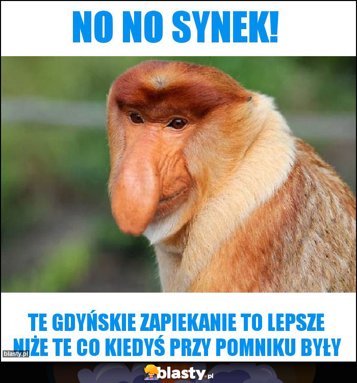 No no synek!