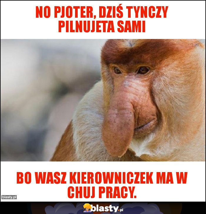 No pjoter, Dziś tynczy pilnujeta sami