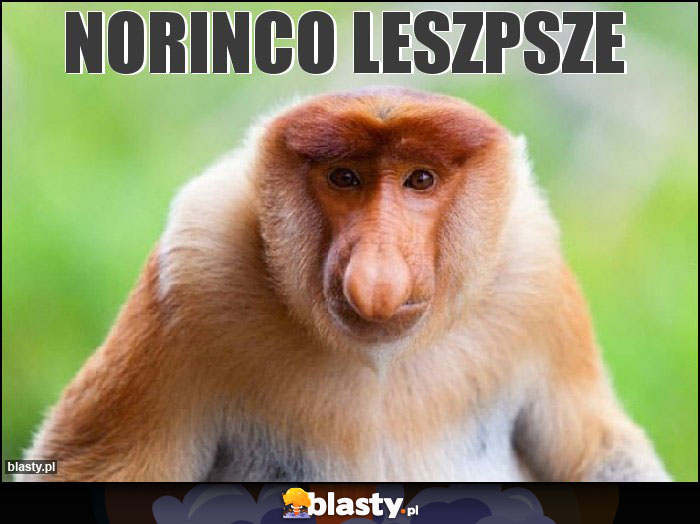 Norinco leszpsze