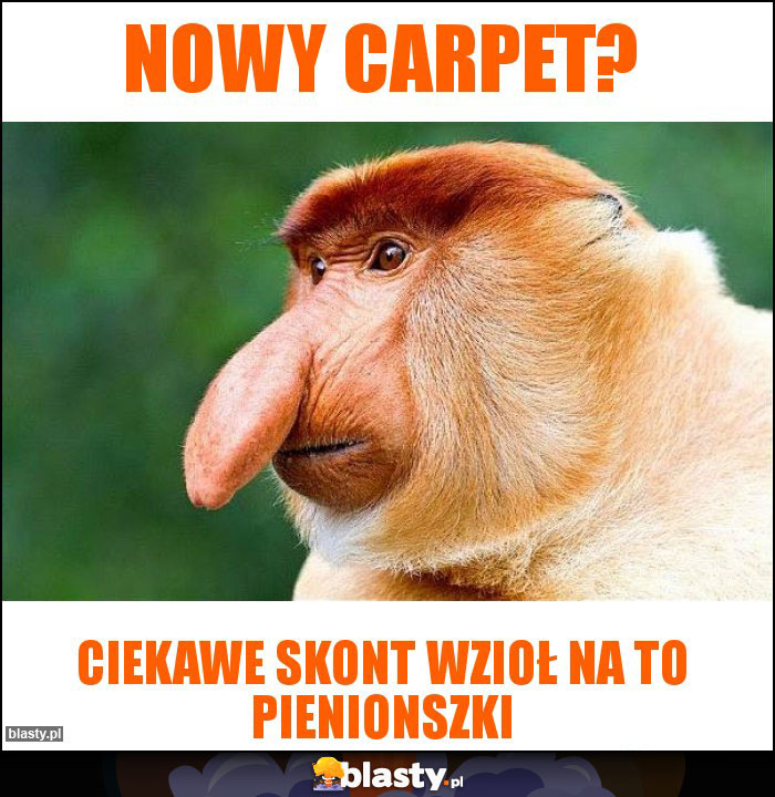 Nowy carpet?