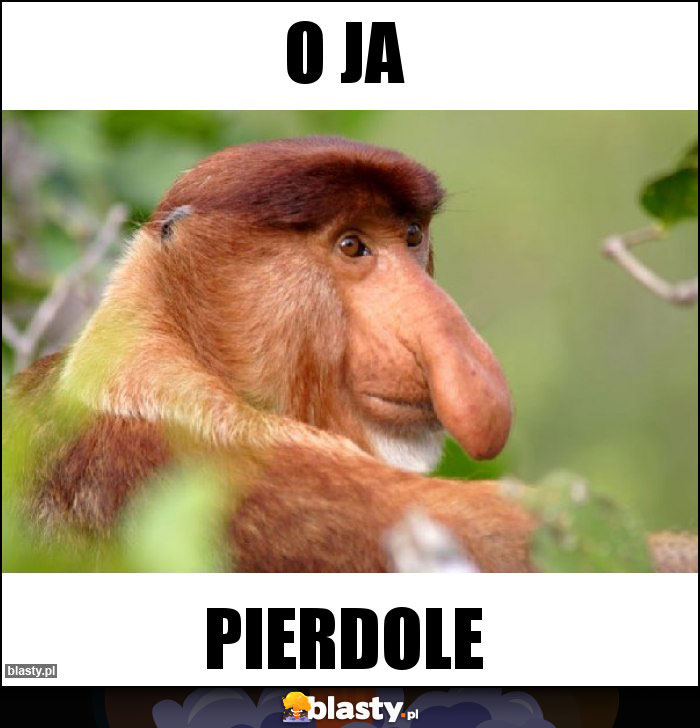 O ja