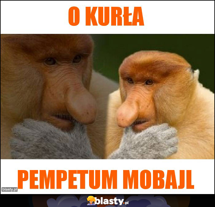 O kurła