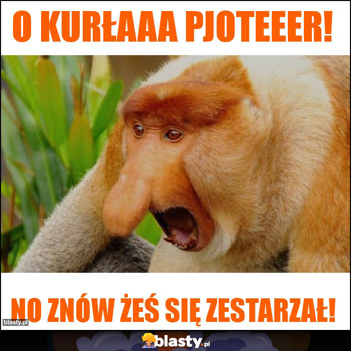 o KURŁAAA PJOTEEER!