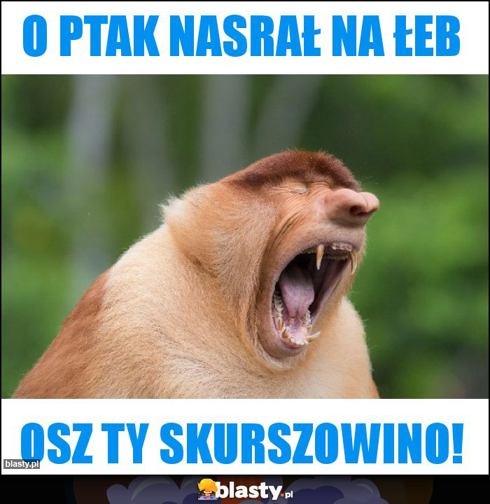 O ptak nasrał na łeb