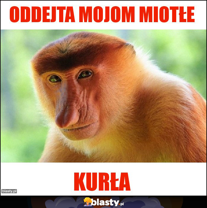 Oddejta mojom miotłe