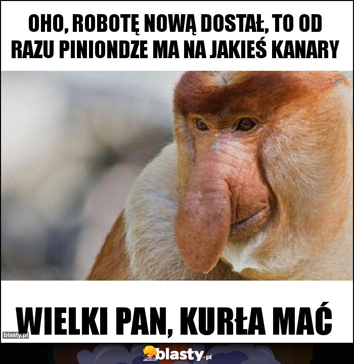 Oho, robotę nową dostał, to od razu piniondze ma na jakieś kanary