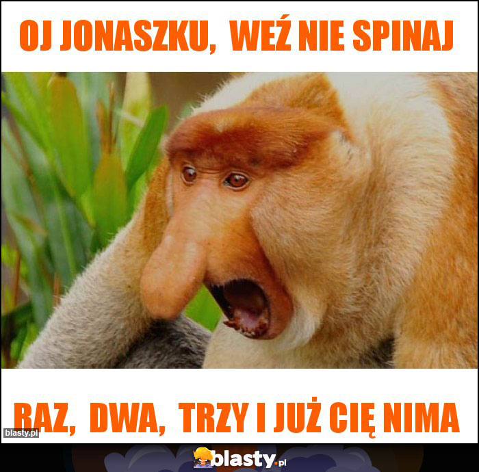 Oj Jonaszku,  weź nie spinaj