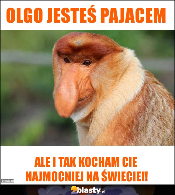 Olgo jesteś pajacem