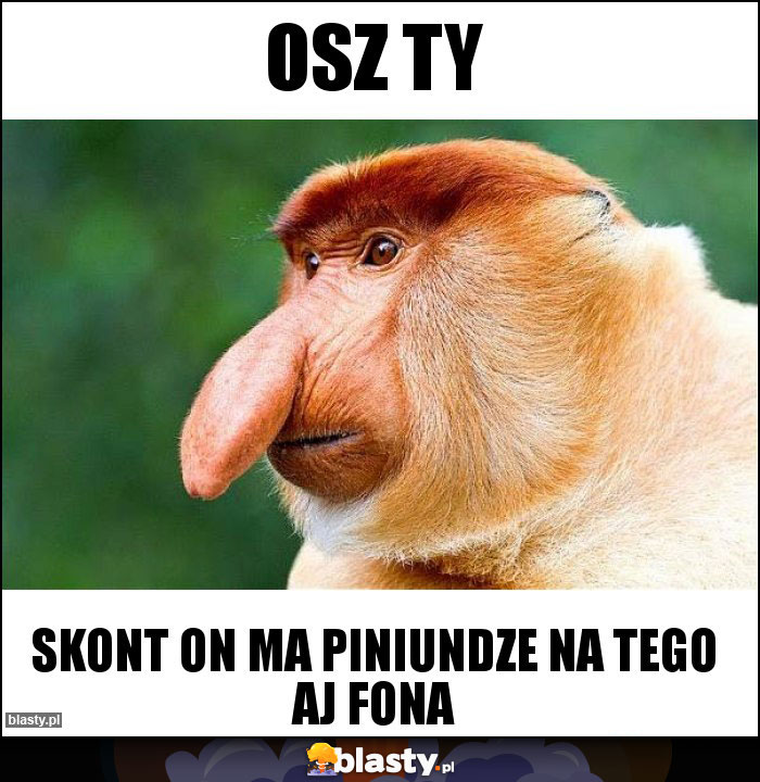 Osz ty