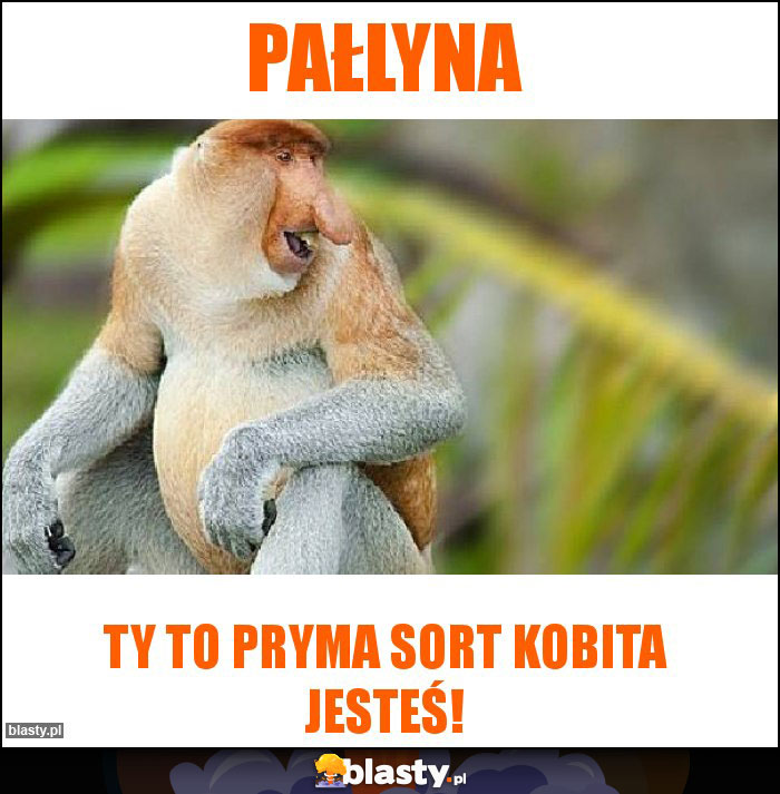 Pałlyna