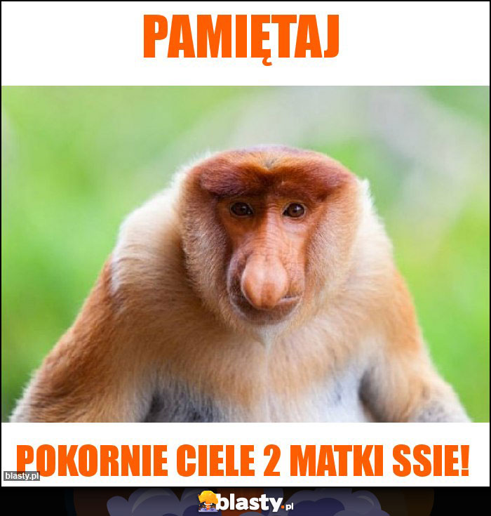 Pamiętaj